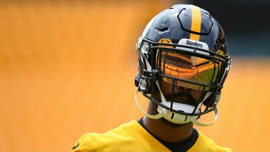 Sutton, Pierre making moves in Steelers' secondary taken at Heinz Field (Steelers)
